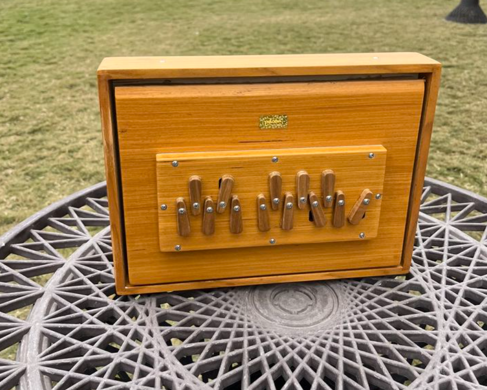 Shurti Box